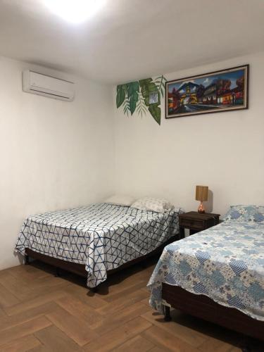 圣何塞港Puerto Vallarta casas vacacionales的卧室配有两张床,墙上挂着一幅画