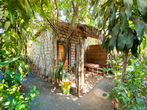 邦隆Ratanakiri Homestay & Jungle Trek的森林中带长凳的小房子