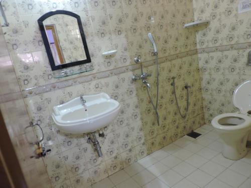 阿贡达Abba's Glory Land - Agonda的一间带水槽、淋浴和卫生间的浴室