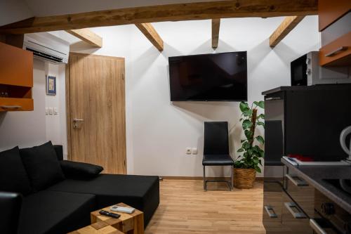 森克Apartma AJJA的客厅配有黑色沙发和平面电视。