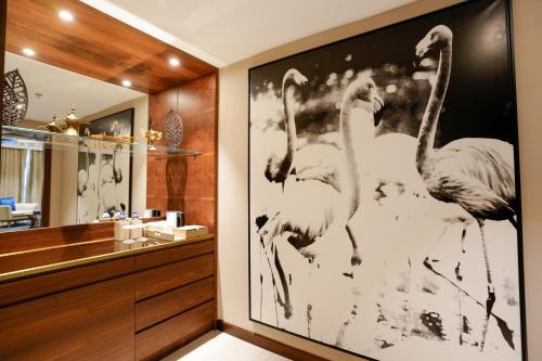 米尔费米尔法酒店 的浴室墙上有火烈鸟的照片