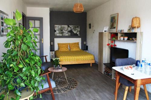 沙特尔Le Clos Pichot - Studio avec balcon, parking privé - 5mn Gare的配有床、桌子和沙发的房间