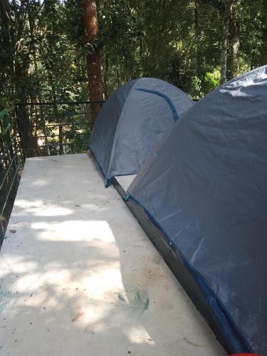安巴拉瓦亚尔Edakkal Camp And Tent的蓝帐篷,位于田野顶部