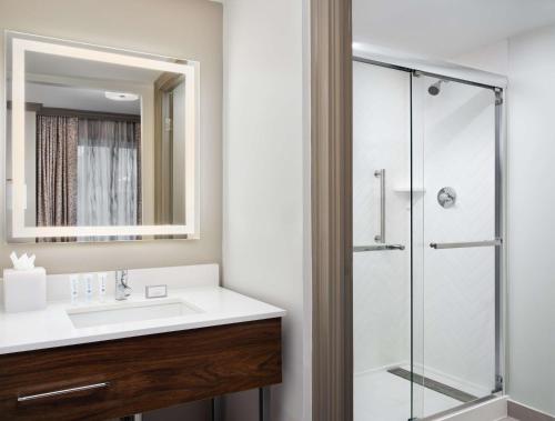 新奥尔良Hampton Inn & Suites New Orleans Canal St. French Quarter的一间带水槽和玻璃淋浴的浴室