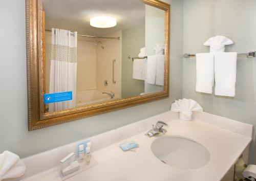 斯帕坦堡汉普顿斯帕坦堡酒店的一间带水槽和镜子的浴室