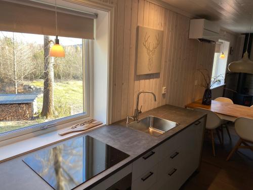 孙讷Adventure Guesthouse Sweden in rural area Sunne的一个带水槽和窗户的小厨房