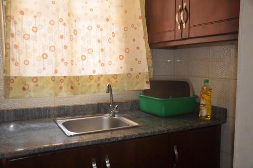 坎帕拉Malaika Furnished Apartments的厨房柜台设有水槽和淋浴帘