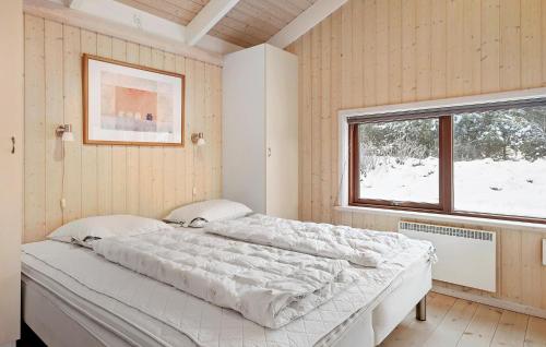 菲耶里茨莱乌Nice Home In Fjerritslev With Sauna的一间带一张大床的卧室,位于带窗户的房间内
