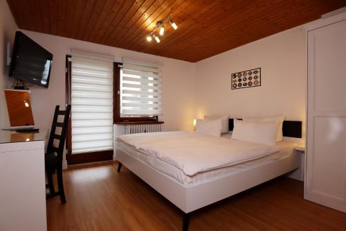 费尔德伯格Haus Blattert - Neuglashütten的卧室配有白色的床和电视。