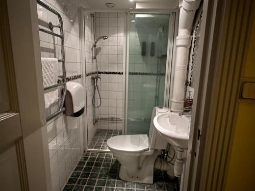 斯德哥尔摩Hotel Tre Små Rum的浴室配有卫生间、淋浴和盥洗盆。
