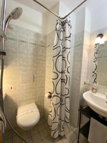 德尔维奥拉卡萨德尔波伊塔旅馆的带淋浴、卫生间和盥洗盆的浴室