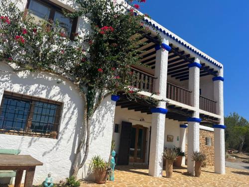 圣埃乌拉利亚Charming Villa Retreat in Ibiza - Bed & Breakfast Bliss的前面有棵树的白色建筑