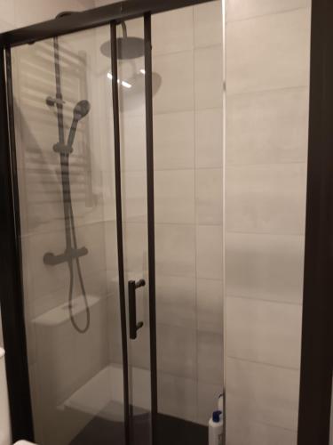 马德里Gregorio Marañón Apartment 3的带淋浴的浴室,带玻璃门