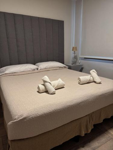门多萨Departamento confortable的一间卧室配有一张带两个枕头的床