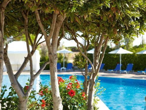 锡西格雷科泰尔梅利皇宫酒店的一座种有树木和椅子的游泳池