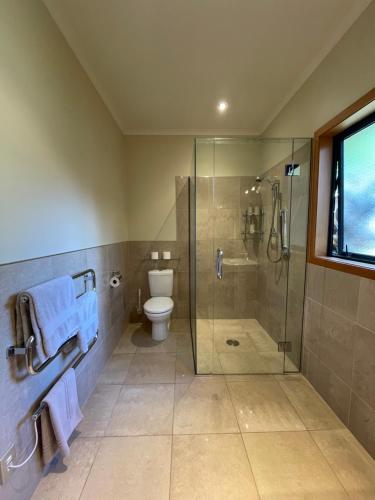 纳尔逊普拉特纳旅舍的一间带玻璃淋浴和卫生间的浴室