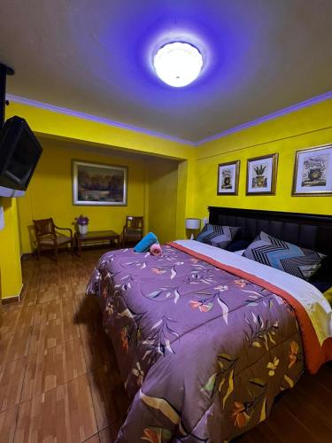 圣地亚哥Hotel Thesalia的一间卧室配有一张大床和紫色毯子