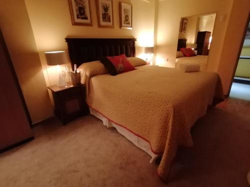 圣地亚哥Hotel Thesalia的一间卧室配有两张床和镜子