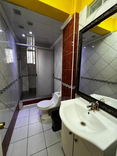 圣地亚哥Hotel Thesalia的浴室配有白色卫生间和盥洗盆。