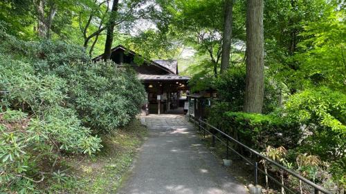 YumotoTabino Camping Base Akiu Tree House - Vacation STAY 23966v的通往树林中一座建筑的路径