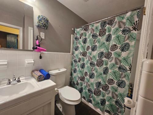 坦帕The Jungle Room的浴室设有淋浴帘、卫生间和水槽