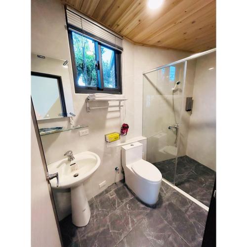 Dongshi星森林包棟住宿-台中東勢-山區景觀的浴室配有卫生间、盥洗盆和淋浴。