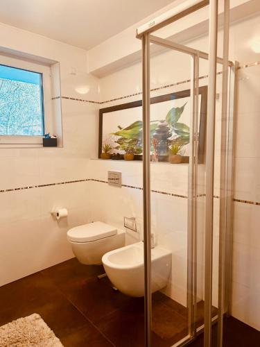 HesperangeHesp Guest House的一间带卫生间和玻璃淋浴间的浴室