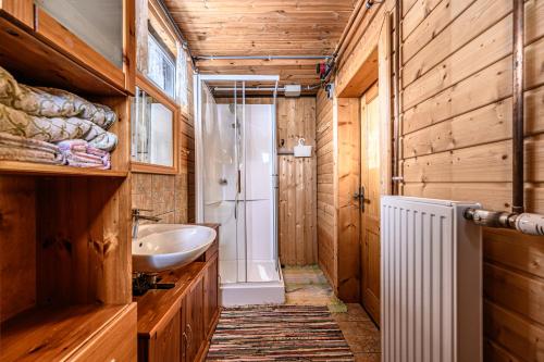 皮恩山口附近施皮塔尔Jagdhütte Gammeringalm的一间带木墙、水槽和淋浴的浴室