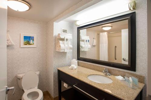 彭萨科拉彭萨科拉机场汉普顿酒店的一间带水槽、卫生间和镜子的浴室