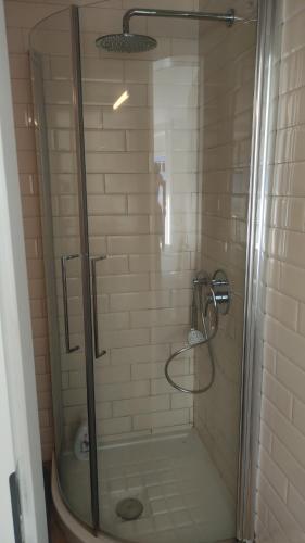 洛迦诺Bell orizzonte的浴室里设有玻璃门淋浴