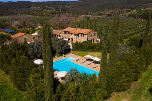 马萨马里蒂马Tenuta Il Cicalino的享有带游泳池和树木的别墅的空中景致