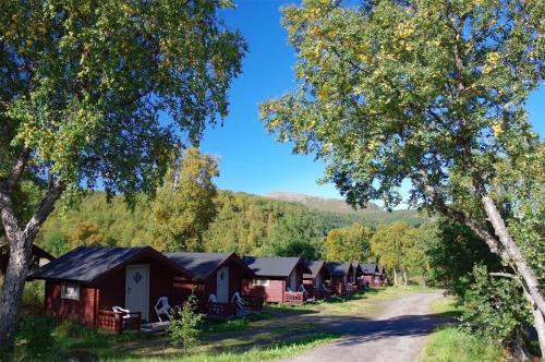 苏特兰Sortland Camping og Motell AS的一条土路森林中的一排小屋