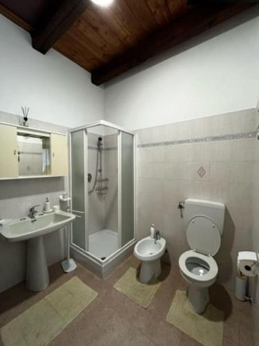 FrassinettoLa Cürt Brandon的带淋浴、卫生间和盥洗盆的浴室