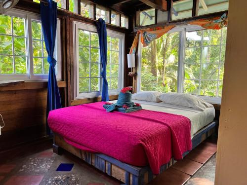 博卡斯德尔托罗Tesoro Escondido Ecolodge Cabinas的一间卧室配有一张带红色毯子的床和窗户。