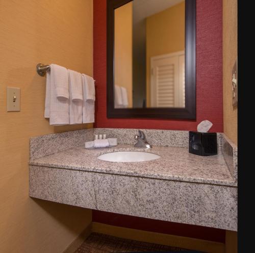 威廉斯堡威廉斯堡布希花园万怡酒店的一间带水槽和镜子的浴室