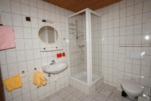 斯图加特Hotel-Restaurant Köhler的一间带水槽、淋浴和卫生间的浴室