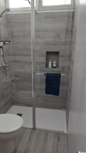 阿列塔CASA FABi GOLONDRINA HOUSE的带淋浴、卫生间和盥洗盆的浴室