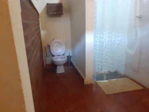 莱昂Casa Riverstone的一间带卫生间和淋浴的小浴室