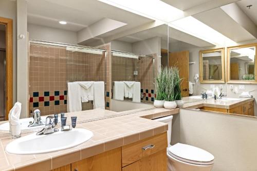 奥林匹克谷Studio Loft #349的一间带水槽和卫生间的浴室