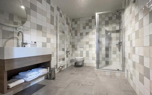 博恩Kasteel Wolfrath的带淋浴、盥洗盆和卫生间的浴室