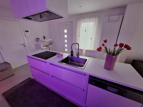 隆德泽尔Relax House B&B Londerzeel的紫色的厨房,配有水槽和花瓶