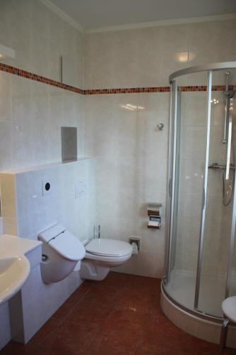 诺因基兴诺因基兴城市酒店 的带淋浴、卫生间和盥洗盆的浴室
