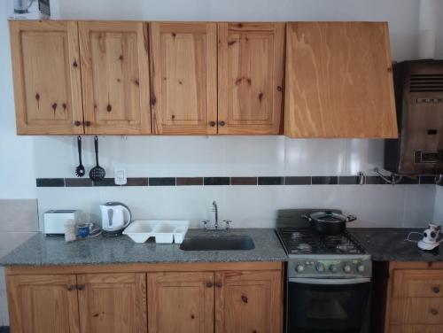 Las HerasDepartamento West的厨房配有木制橱柜、水槽和炉灶。