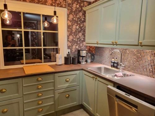 TorpoSolhaug的厨房配有绿色橱柜和水槽