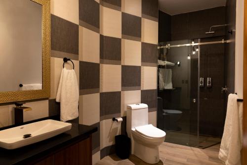 圣胡安－德洛斯拉戈斯Casa Mia Suite San Juan de los Lagos的浴室配有卫生间、盥洗盆和淋浴。