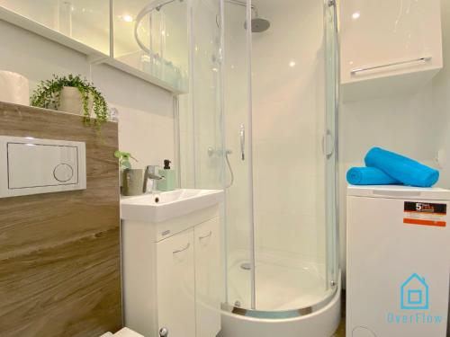 格但斯克Wave Apartment的带淋浴和盥洗盆的浴室