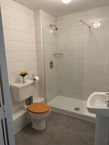 克利夫登Apartment 2 @ Clifden Bay Apartments的带淋浴、卫生间和盥洗盆的浴室