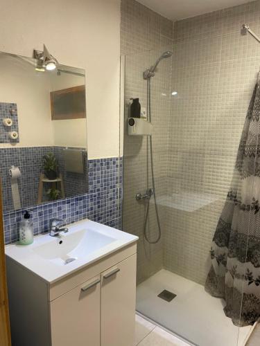 布鲁内特埃尔阿尔巴旅馆的一间带水槽和淋浴的浴室