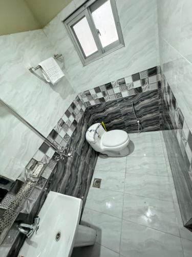 伊斯兰堡Decent Lodge Guest House F-10的一间带卫生间和水槽的浴室