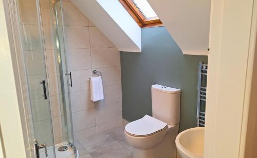 丁格尔Dingle Holiday Homes (S7)的一间带卫生间和玻璃淋浴间的浴室